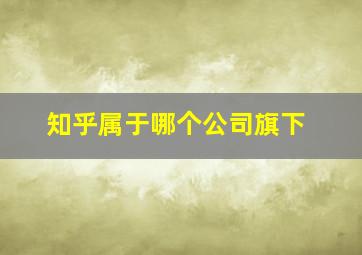 知乎属于哪个公司旗下