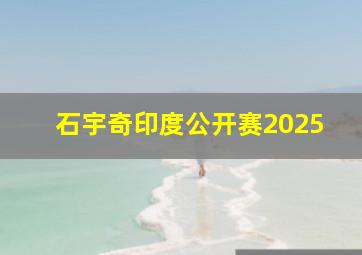 石宇奇印度公开赛2025