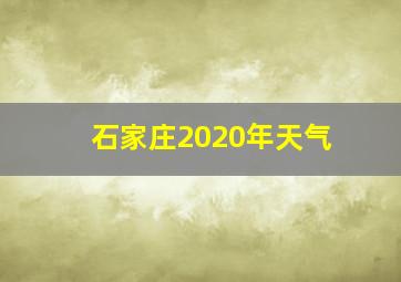 石家庄2020年天气