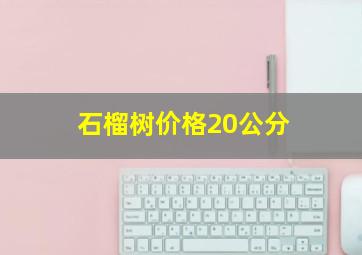 石榴树价格20公分