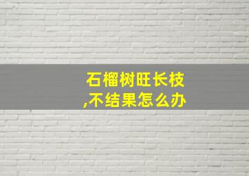 石榴树旺长枝,不结果怎么办