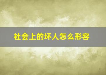 社会上的坏人怎么形容