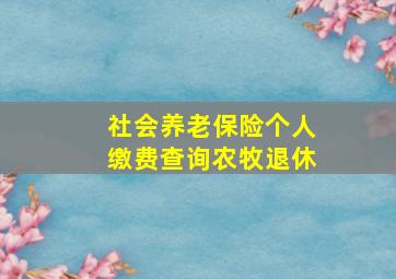 社会养老保险个人缴费查询农牧退休