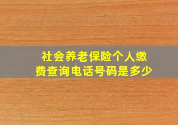 社会养老保险个人缴费查询电话号码是多少