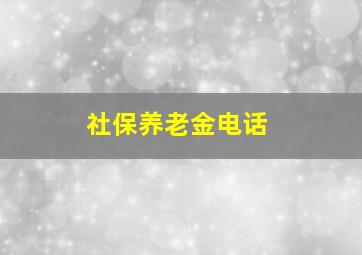 社保养老金电话