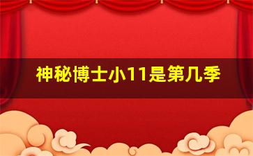 神秘博士小11是第几季