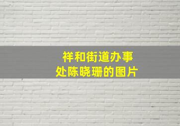 祥和街道办事处陈晓珊的图片