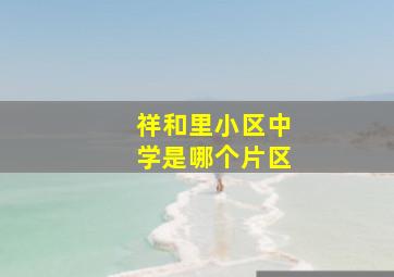 祥和里小区中学是哪个片区