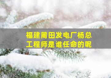 福建莆田发电厂杨总工程师是谁任命的呢