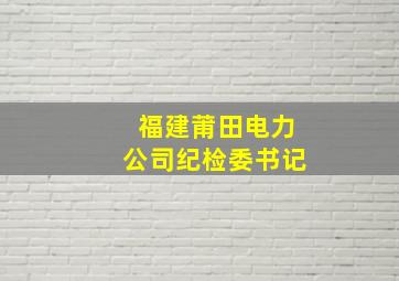 福建莆田电力公司纪检委书记