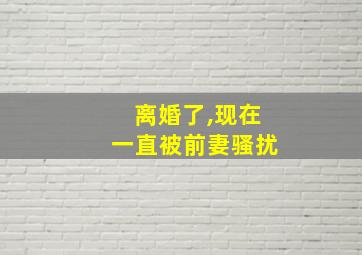 离婚了,现在一直被前妻骚扰