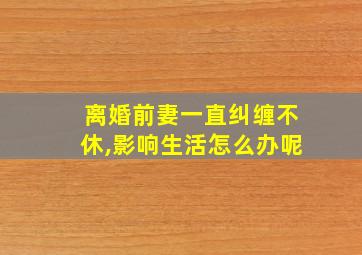 离婚前妻一直纠缠不休,影响生活怎么办呢