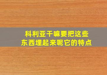 科利亚干嘛要把这些东西埋起来呢它的特点