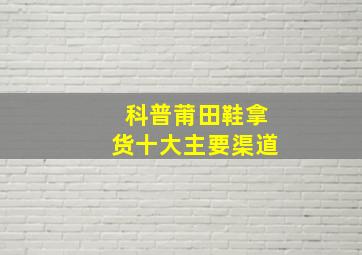 科普莆田鞋拿货十大主要渠道