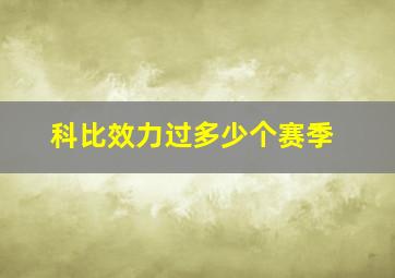 科比效力过多少个赛季