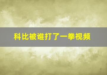 科比被谁打了一拳视频