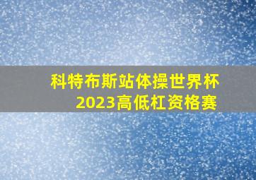 科特布斯站体操世界杯2023高低杠资格赛