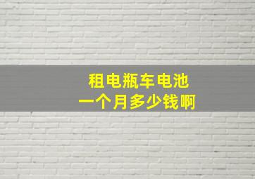 租电瓶车电池一个月多少钱啊