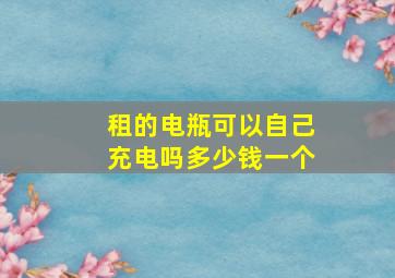 租的电瓶可以自己充电吗多少钱一个