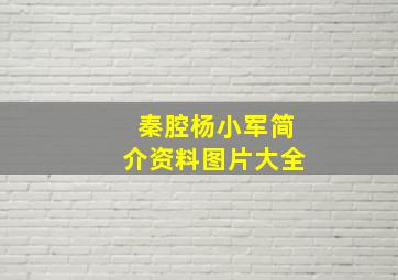 秦腔杨小军简介资料图片大全