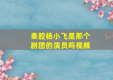 秦腔杨小飞是那个剧团的演员吗视频