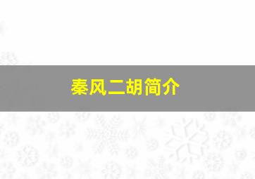 秦风二胡简介