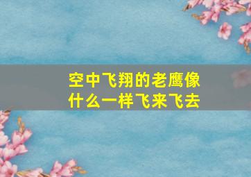 空中飞翔的老鹰像什么一样飞来飞去