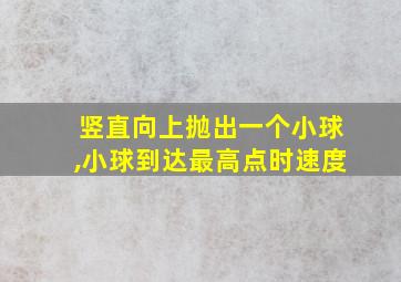 竖直向上抛出一个小球,小球到达最高点时速度