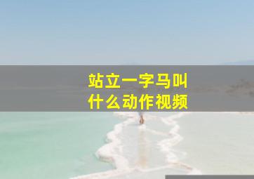 站立一字马叫什么动作视频