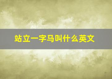 站立一字马叫什么英文