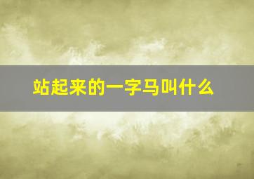 站起来的一字马叫什么