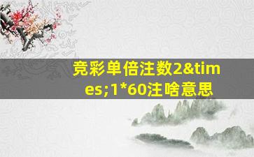 竞彩单倍注数2×1*60注啥意思