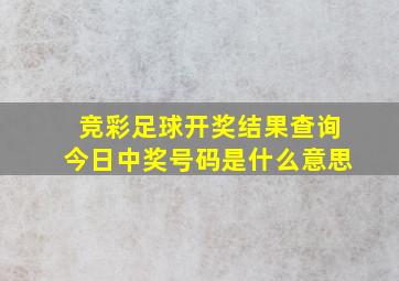 竞彩足球开奖结果查询今日中奖号码是什么意思