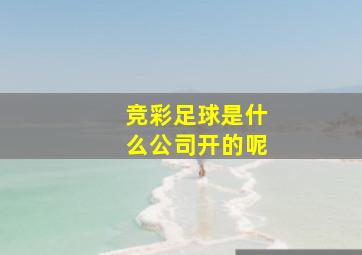 竞彩足球是什么公司开的呢