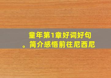 童年第1章好词好句。简介感悟前往尼西尼