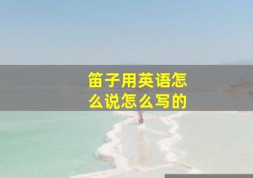 笛子用英语怎么说怎么写的