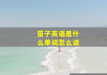 笛子英语是什么单词怎么读