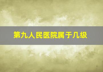 第九人民医院属于几级