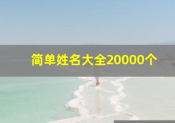 简单姓名大全20000个