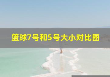 篮球7号和5号大小对比图