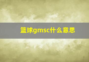 篮球gmsc什么意思