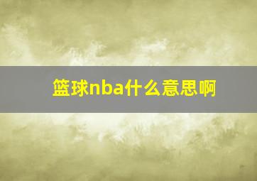 篮球nba什么意思啊