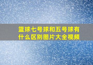 篮球七号球和五号球有什么区别图片大全视频