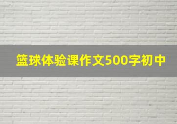 篮球体验课作文500字初中