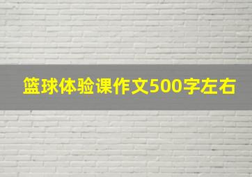 篮球体验课作文500字左右