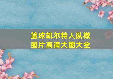 篮球凯尔特人队徽图片高清大图大全