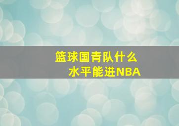 篮球国青队什么水平能进NBA