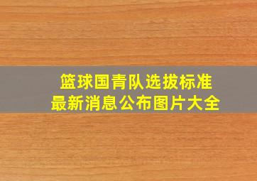 篮球国青队选拔标准最新消息公布图片大全