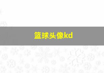 篮球头像kd