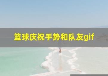 篮球庆祝手势和队友gif